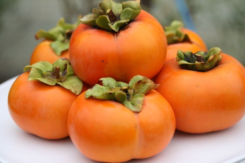 Không chỉ là món ăn vặt hấp dẫn, quả hồng còn được ví như “thần dược” nhờ những lợi ích sức khỏe vượt trội, từ tăng cường miễn dịch, bảo vệ tim mạch, đến cải thiện thị lực. Ảnh minh hoạ