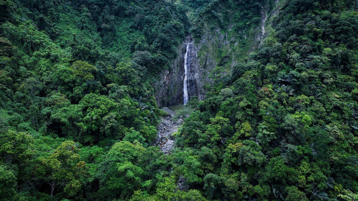 Giữa bức tranh du lịch Quảng Ngãi còn nhiều tiềm năng, thác Hùng Ngàn như một nét chấm phá lặng lẽ nhưng đầy sức hút. Với những du khách yêu thiên nhiên, thích thử thách và mong muốn tìm về những giá trị nguyên bản, hành trình đến thác Hùng Ngàn không chỉ là chuyến đi, mà còn là cuộc gặp gỡ với vẻ đẹp thuần khiết của núi rừng đại ngàn.