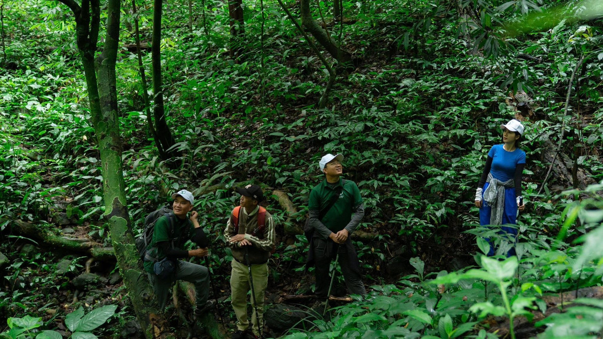 Trên đường trekking, nhiều du khách dừng chân tại khu vực hồ chứa của thủy điện Đăk Re – công trình nằm sâu trong khu bảo tồn thiên nhiên Kon Chư Răng. Đây là nơi chặn dòng sông Đăk Re, thượng nguồn của sông Re và hệ thống sông Trà Khúc, thuộc vùng giáp ranh địa giới hành chính cũ của Kon Tum, Gia Lai và Bình Định, nay thuộc Quảng Ngãi và Gia Lai. Mặt hồ phẳng lặng, soi bóng núi rừng xanh mướt, tạo nên khoảng lặng thư thái giữa hành trình băng rừng.