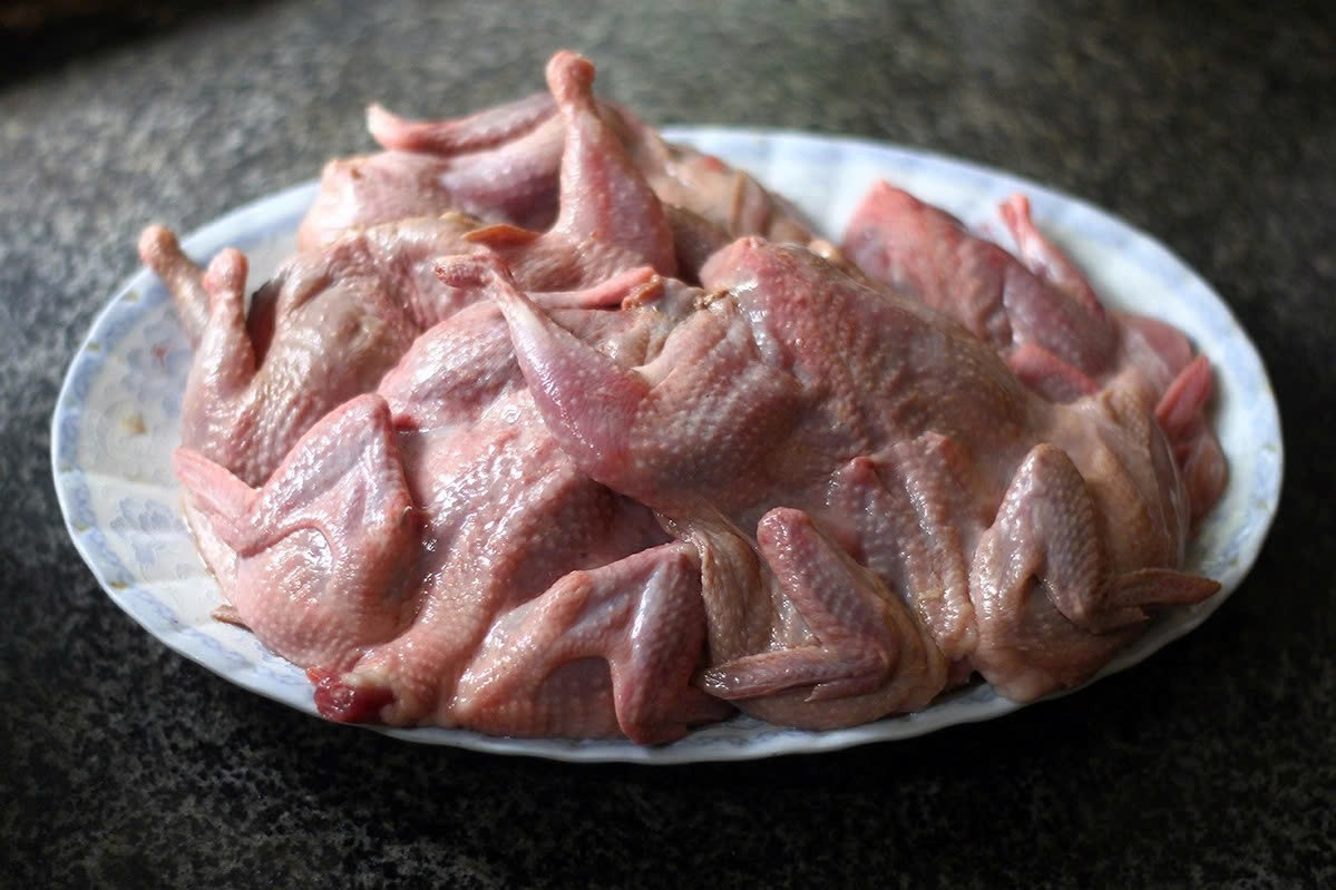 Trong bối cảnh ngày càng nhiều người quan tâm đến chế độ ăn uống lành mạnh, các loại thực phẩm giàu dinh dưỡng, dễ tiêu hóa và phù hợp với nhiều đối tượng đang được ưu tiên lựa chọn. Trong số đó, thịt chim cút là loại thực phẩm quen thuộc nhưng vẫn giữ được giá trị đặc biệt nhờ hàm lượng dinh dưỡng tương đối cao, hương vị thơm ngon và khả năng chế biến đa dạng. Ảnh minh họa