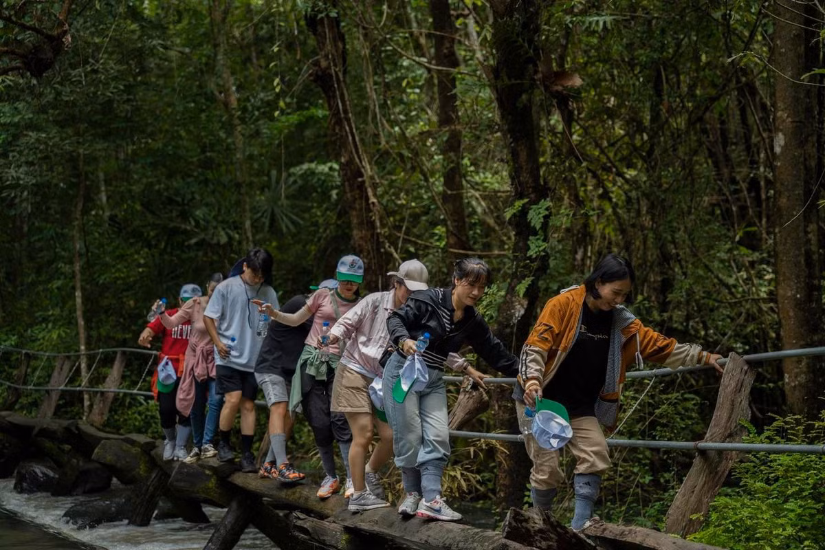 Với những gợi ý này, Vườn Quốc gia Nam Cát Tiên không chỉ là nơi trải nghiệm thiên nhiên hoang sơ mà còn là “studio” ngoài trời lý tưởng để du khách lưu giữ những khoảnh khắc đáng nhớ giữa đại ngàn. Ảnh DulichNamCatTien