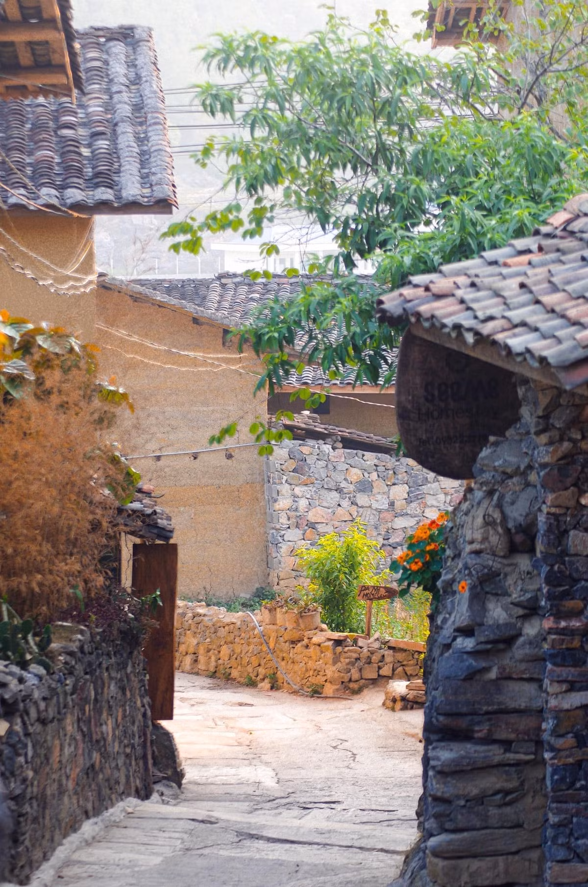 Đặc biệt, với vẻ đẹp nguyên sơ của thiên nhiên và cuộc sống giản dị của người dân nơi đây, Lô Lô Chải sẽ để lại trong lòng mỗi du khách những ấn tượng khó quên.