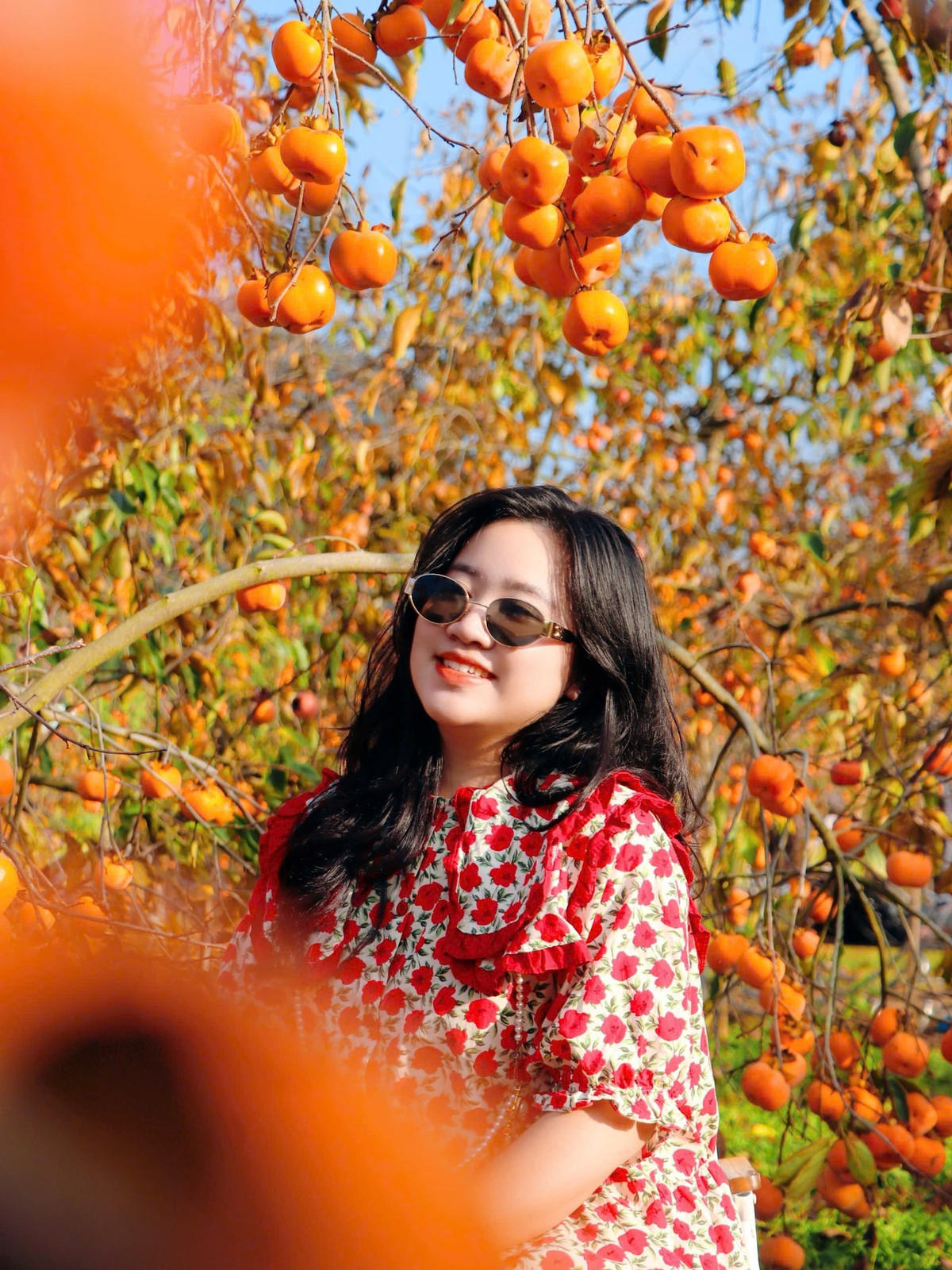 Mộc Châu cách Hà Nội gần 200 km, thời gian di chuyển khoảng 4–5 tiếng. Xe máy nên đi theo quốc lộ 6 cũ để ngắm cảnh; xe khách từ Mỹ Đình hoặc Yên Nghĩa tới Sơn La rồi thuê xe máy đi tiếp. Tháng 12, nhiệt độ trung bình khoảng 15–17°C, du khách nên chuẩn bị áo ấm. Ảnh Ba đứa mình