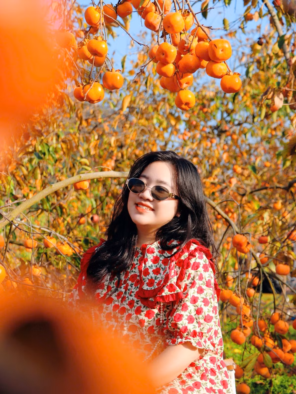 Mộc Châu cách Hà Nội gần 200 km, thời gian di chuyển khoảng 4–5 tiếng. Xe máy nên đi theo quốc lộ 6 cũ để ngắm cảnh; xe khách từ Mỹ Đình hoặc Yên Nghĩa tới Sơn La rồi thuê xe máy đi tiếp. Tháng 12, nhiệt độ trung bình khoảng 15–17°C, du khách nên chuẩn bị áo ấm. Ảnh Ba đứa mình