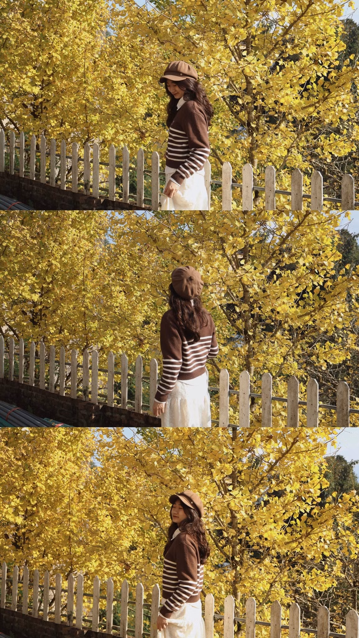 Để có trải nghiệm trọn vẹn, du khách nên đi bộ dọc theo con ngõ nhỏ trên đường Thác Bạc, chọn những góc ánh sáng đẹp để chụp ảnh, và dành thời gian ngắm nhìn từng chiếc lá vàng rơi. Khoảnh khắc này, khi ánh nắng chiều nhuộm vàng cả hàng cây, gió nhẹ thổi qua, tạo cảm giác yên bình đến khó tả, chắc chắn sẽ để lại ấn tượng sâu sắc trong lòng bất cứ ai từng ghé thăm. Ảnh Linh Jii