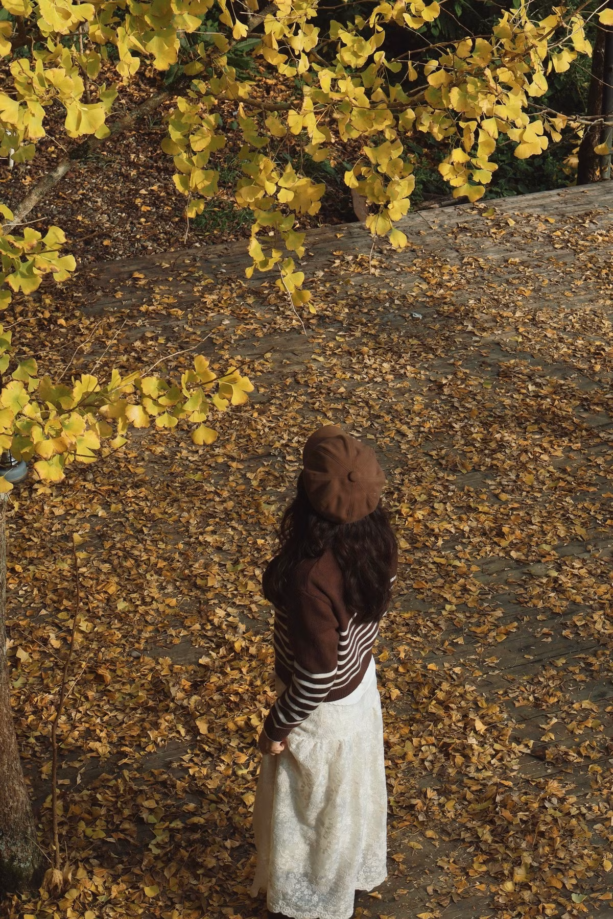 Con ngõ nhỏ trên đường Thác Bạc trở nên sống động hơn bao giờ hết khi ánh nắng xuyên qua tán lá vàng, tạo nên những vệt sáng lung linh trên mặt đất. Không gian vừa thơ mộng vừa huyền ảo khiến du khách như lạc bước vào một khung cảnh cổ tích giữa núi rừng Tây Bắc. Ảnh Linh Jii