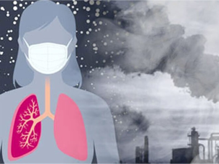 Dù chế độ ăn uống lành mạnh đóng vai trò quan trọng, nhưng không thể thay thế hoàn toàn các tác động tiêu cực từ ô nhiễm không khí. Để bảo vệ phổi hiệu quả, người dân cần kết hợp nhiều biện pháp: giảm mức độ ô nhiễm nơi sống, sử dụng máy lọc không khí, tránh các hoạt động thể chất ngoài trời trong những ngày chất lượng không khí ở mức xấu, đeo khẩu trang khi ra đường và lựa chọn thực phẩm giàu chất chống oxy hóa hàng ngày. Ảnh minh họa