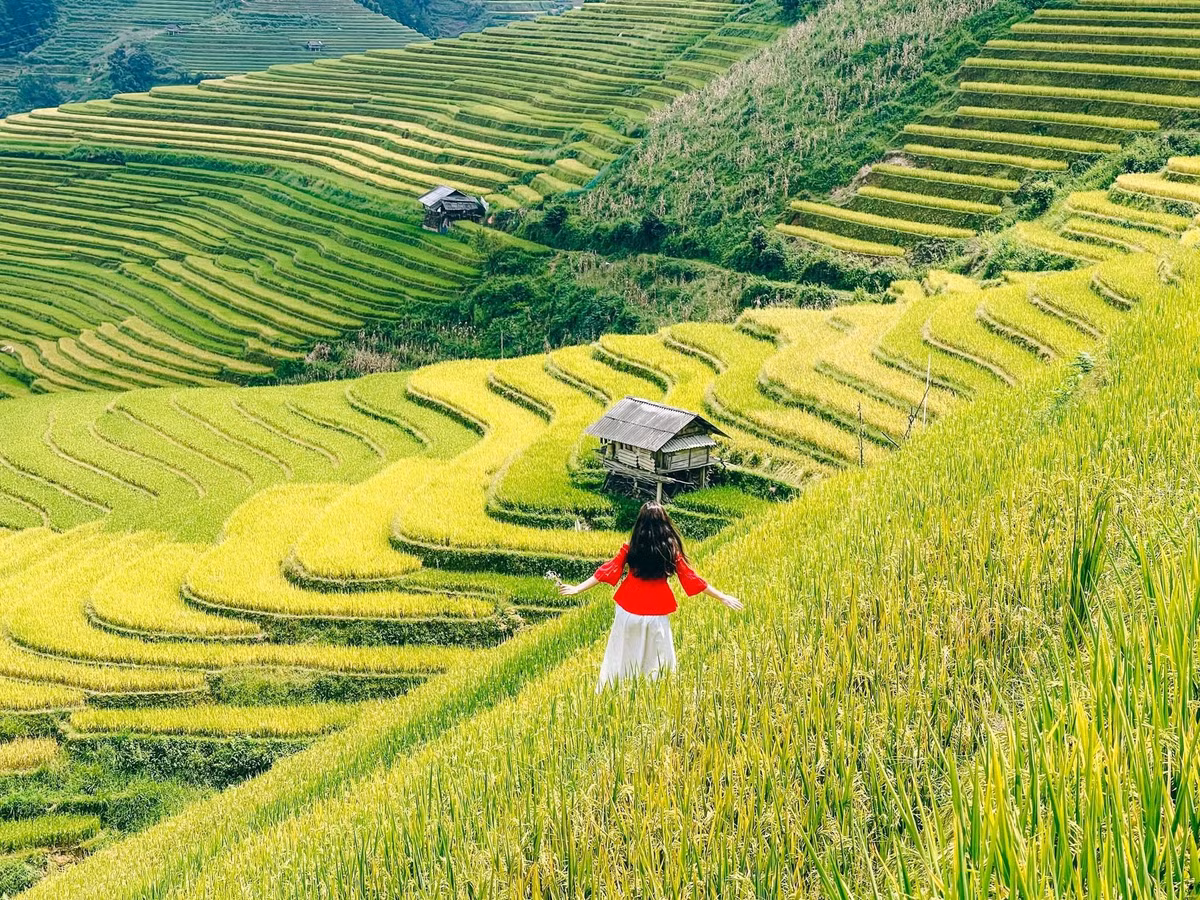 Tại Mù Cang Chải, đồi Móng Ngựa là điểm sống ảo nổi tiếng, nhưng Kim Nọi mới là nơi để lại ấn tượng sâu sắc: những thửa ruộng bậc thang bạt ngàn, ít người, cảnh sắc hùng vĩ khiến nhóm đứng lặng ngắm nhìn. Ảnh Thẩm Ngọc Nguyễn