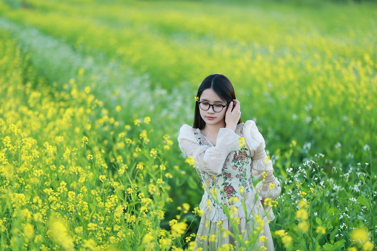 Khi những đợt gió lạnh đầu mùa tràn về, cao nguyên Mộc Châu (Sơn La) cũng bước vào thời khắc đẹp nhất trong năm: mùa hoa cải vàng. Các thung lũng, nương rộng và sườn đồi đồng loạt khoác lớp áo vàng óng, mở ra bức tranh thiên nhiên đầy sức sống giữa tiết trời se lạnh. Ảnh Lỏi Tươi Farm