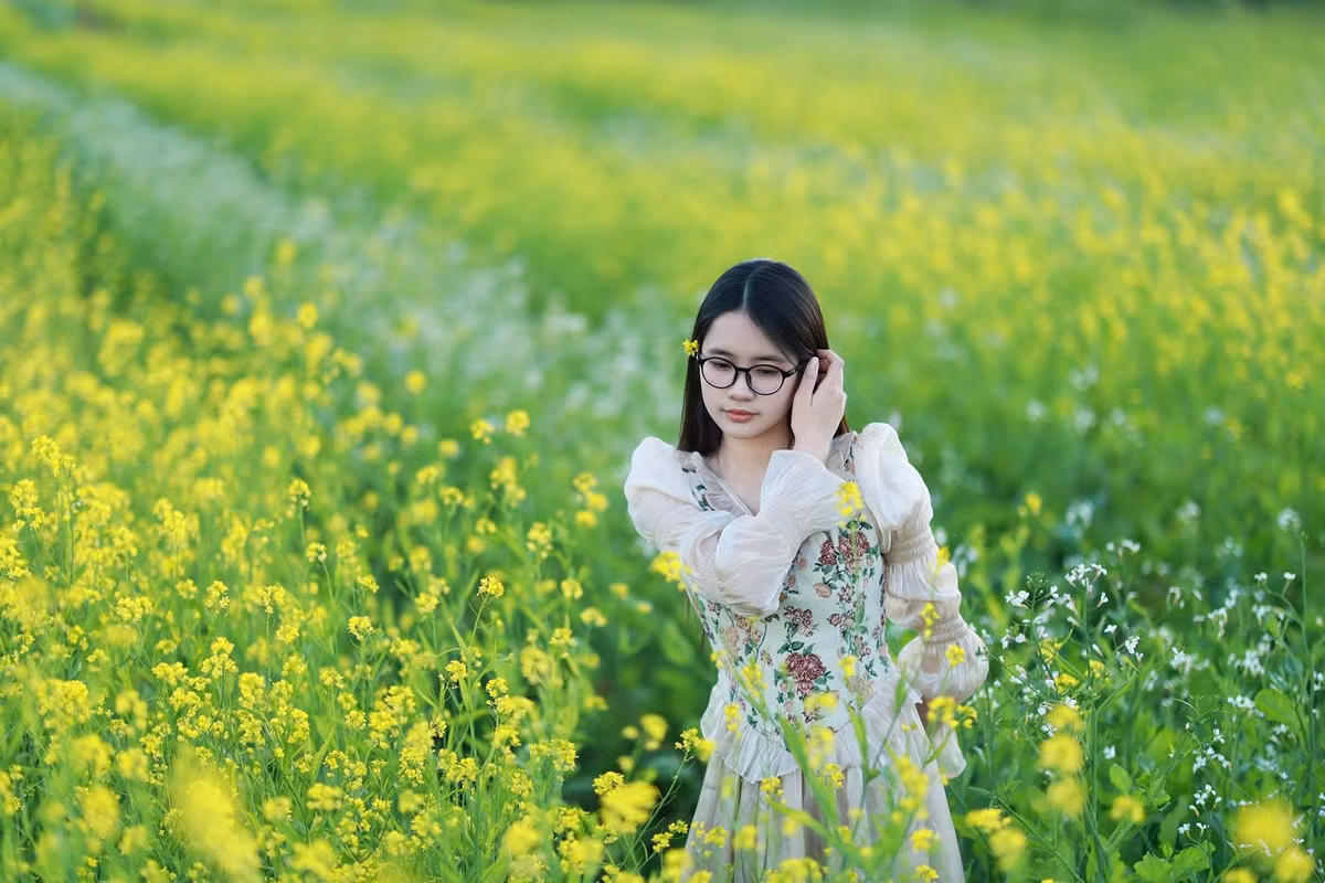 Khi những đợt gió lạnh đầu mùa tràn về, cao nguyên Mộc Châu (Sơn La) cũng bước vào thời khắc đẹp nhất trong năm: mùa hoa cải vàng. Các thung lũng, nương rộng và sườn đồi đồng loạt khoác lớp áo vàng óng, mở ra bức tranh thiên nhiên đầy sức sống giữa tiết trời se lạnh. Ảnh Lỏi Tươi Farm