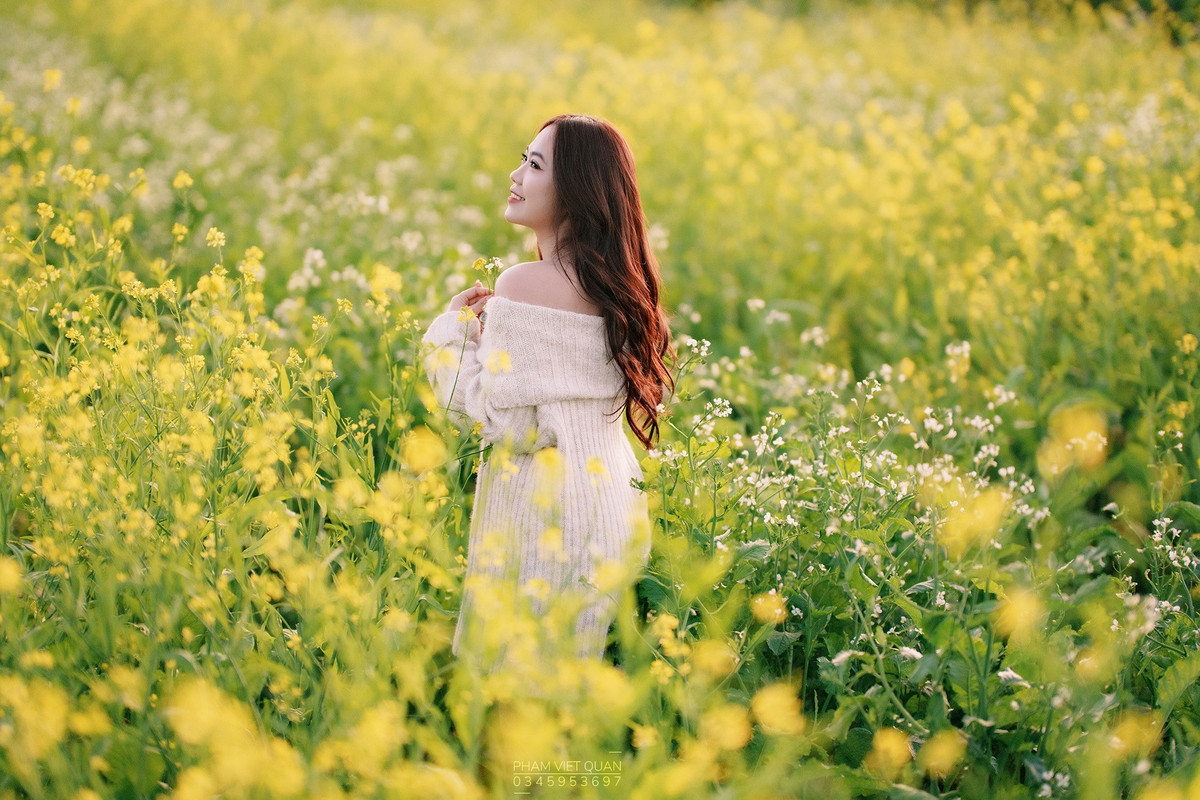 Mùa hoa cải ở Mộc Châu thường bắt đầu từ cuối tháng 11 và kéo dài đến khoảng giữa tháng 12. Ảnh Lỏi Tươi Farm