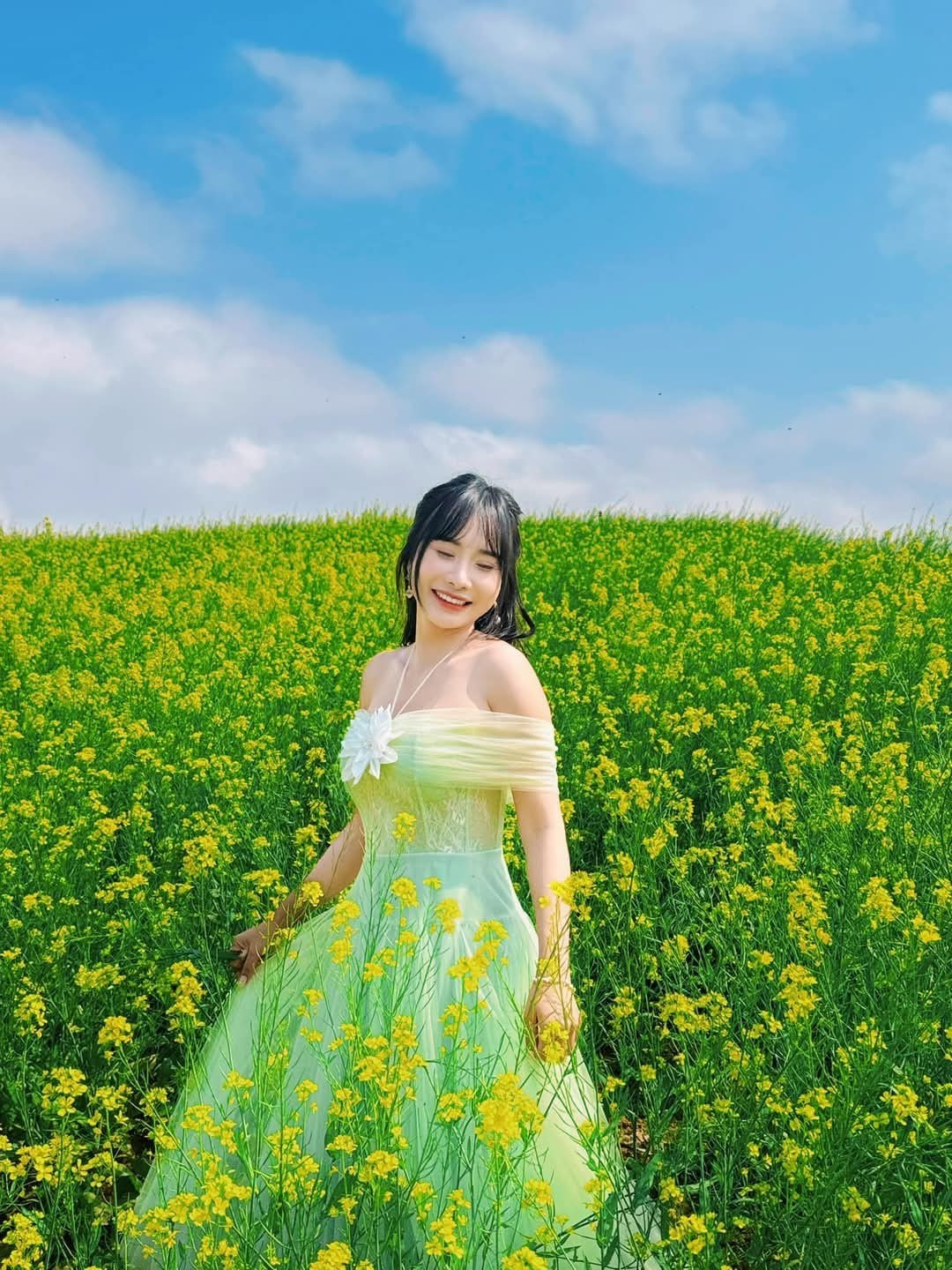 Du khách có thể dễ dàng bắt gặp những khu vườn cải nở đẹp tại rừng thông bản Áng, bản Cóc (xã Đông Sang), thị trấn nông trường Mộc Châu… hoặc những khu vườn tư nhân mở cửa cho du khách vào chụp ảnh. Ảnh Lỏi Tươi Farm