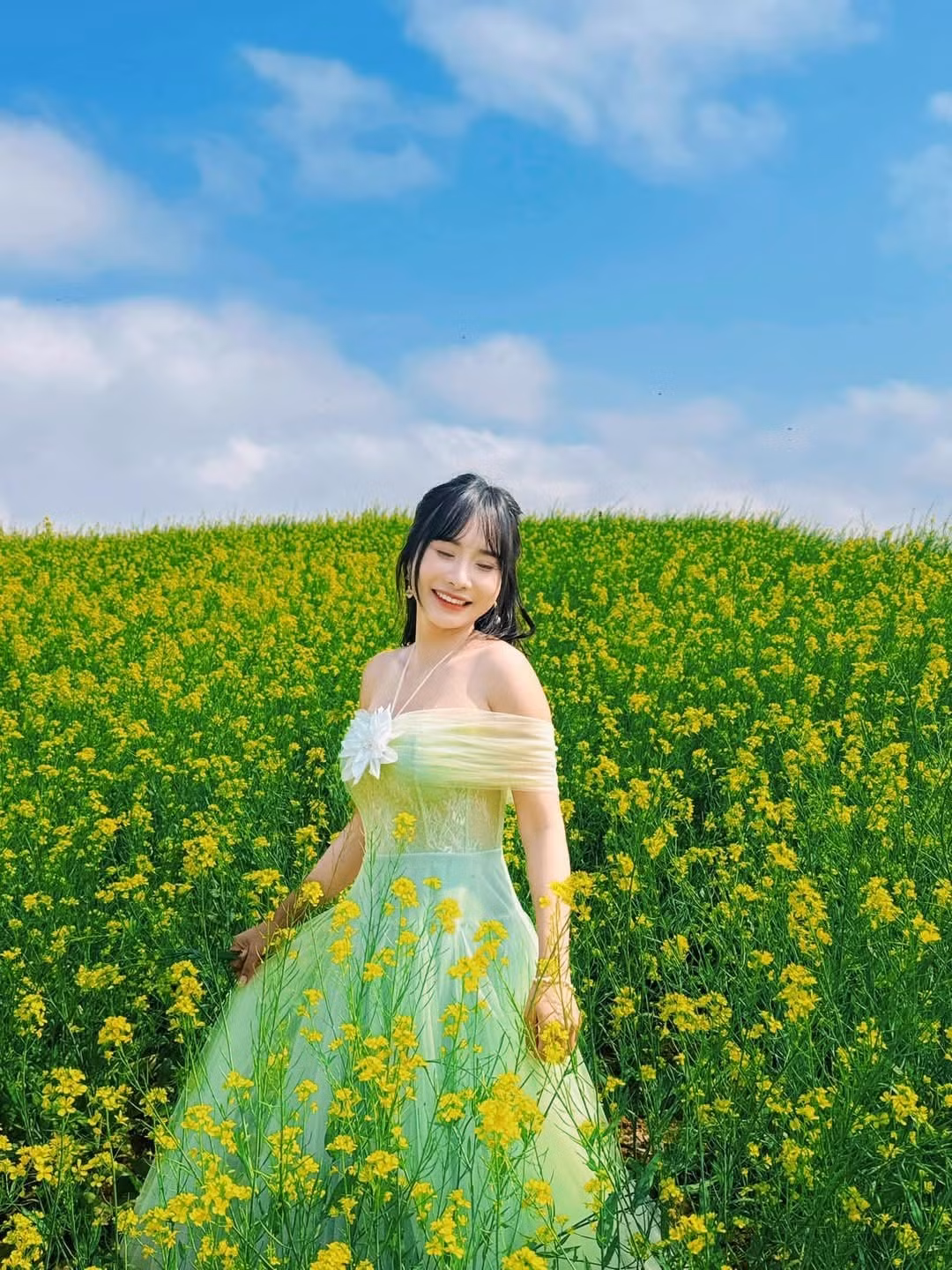 Du khách có thể dễ dàng bắt gặp những khu vườn cải nở đẹp tại rừng thông bản Áng, bản Cóc (xã Đông Sang), thị trấn nông trường Mộc Châu… hoặc những khu vườn tư nhân mở cửa cho du khách vào chụp ảnh. Ảnh Lỏi Tươi Farm