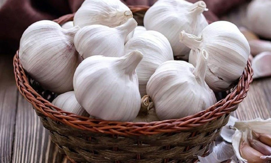Theo quan điểm Đông y, sự kết hợp này có thể gây “trùng nhiệt”, dễ khiến cơ thể nóng trong hoặc gây khó chịu cho dạ dày nếu dùng nhiều. Ngoài ra, mùi vị nồng của tỏi cũng có thể lấn át hương thơm tự nhiên của thịt gà, làm giảm sự hài hòa của món ăn. Ảnh minh họa/ Nguồn internet