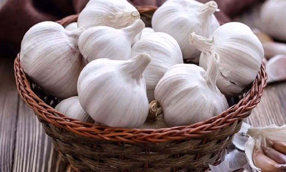Theo quan điểm Đông y, sự kết hợp này có thể gây “trùng nhiệt”, dễ khiến cơ thể nóng trong hoặc gây khó chịu cho dạ dày nếu dùng nhiều. Ngoài ra, mùi vị nồng của tỏi cũng có thể lấn át hương thơm tự nhiên của thịt gà, làm giảm sự hài hòa của món ăn. Ảnh minh họa/ Nguồn internet