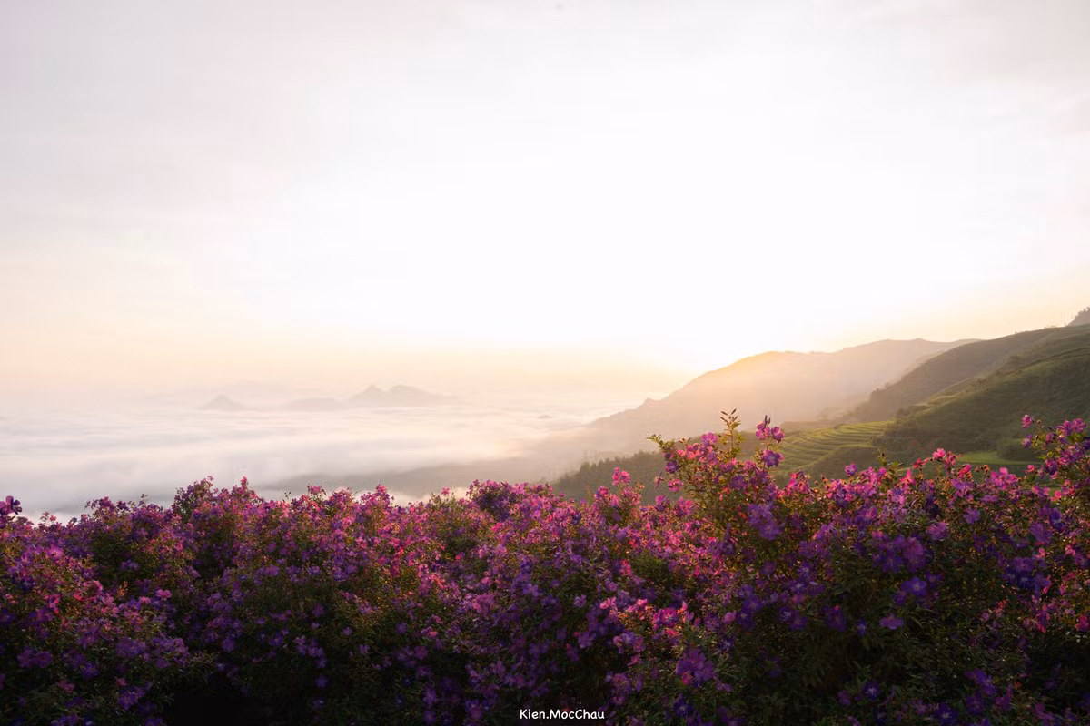 Hiện tại, bản Suối Bon chưa có cơ sở lưu trú hay dịch vụ ăn uống. Du khách thường chọn nghỉ lại tại Mộc Châu, sau đó di chuyển vào Suối Bon bằng xe máy hoặc ô tô nhỏ. Ảnh Quang Kiên