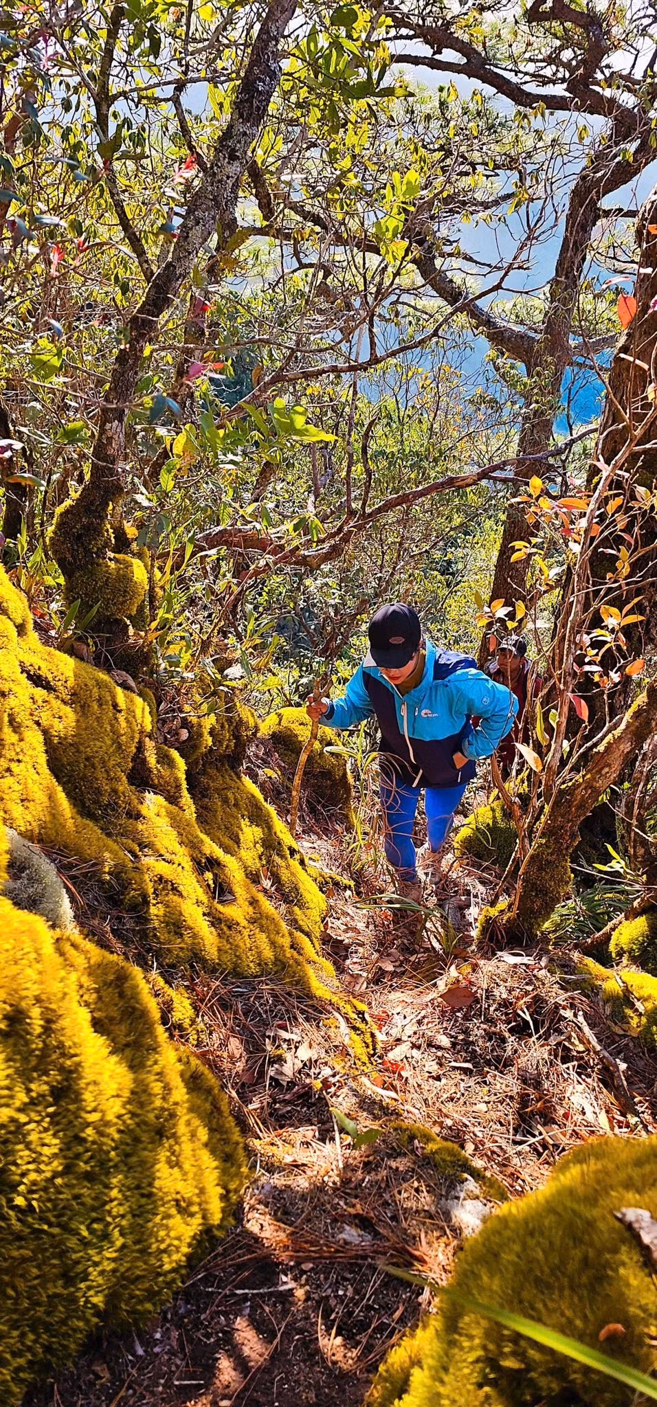 Từ Lê Văng, con đường mòn dần dẫn sâu vào rừng. Càng lên cao, địa hình càng trở nên dốc và gồ ghề. Điểm dừng chân ấn tượng đầu tiên là khu rừng rêu ở độ cao khoảng 1.400 m. Ảnh Đình Lê