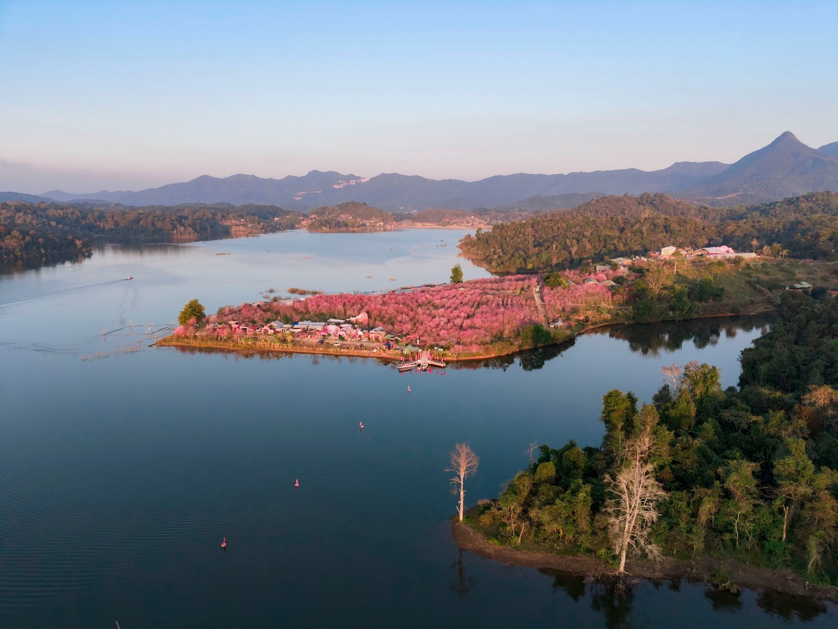 Trong khi đó, tour 2 ngày 1 đêm có giá từ 1,2–1,8 triệu đồng/người, phù hợp với du khách muốn kết hợp ngắm hoa, tham gia lễ hội và nghỉ đêm gần hồ.