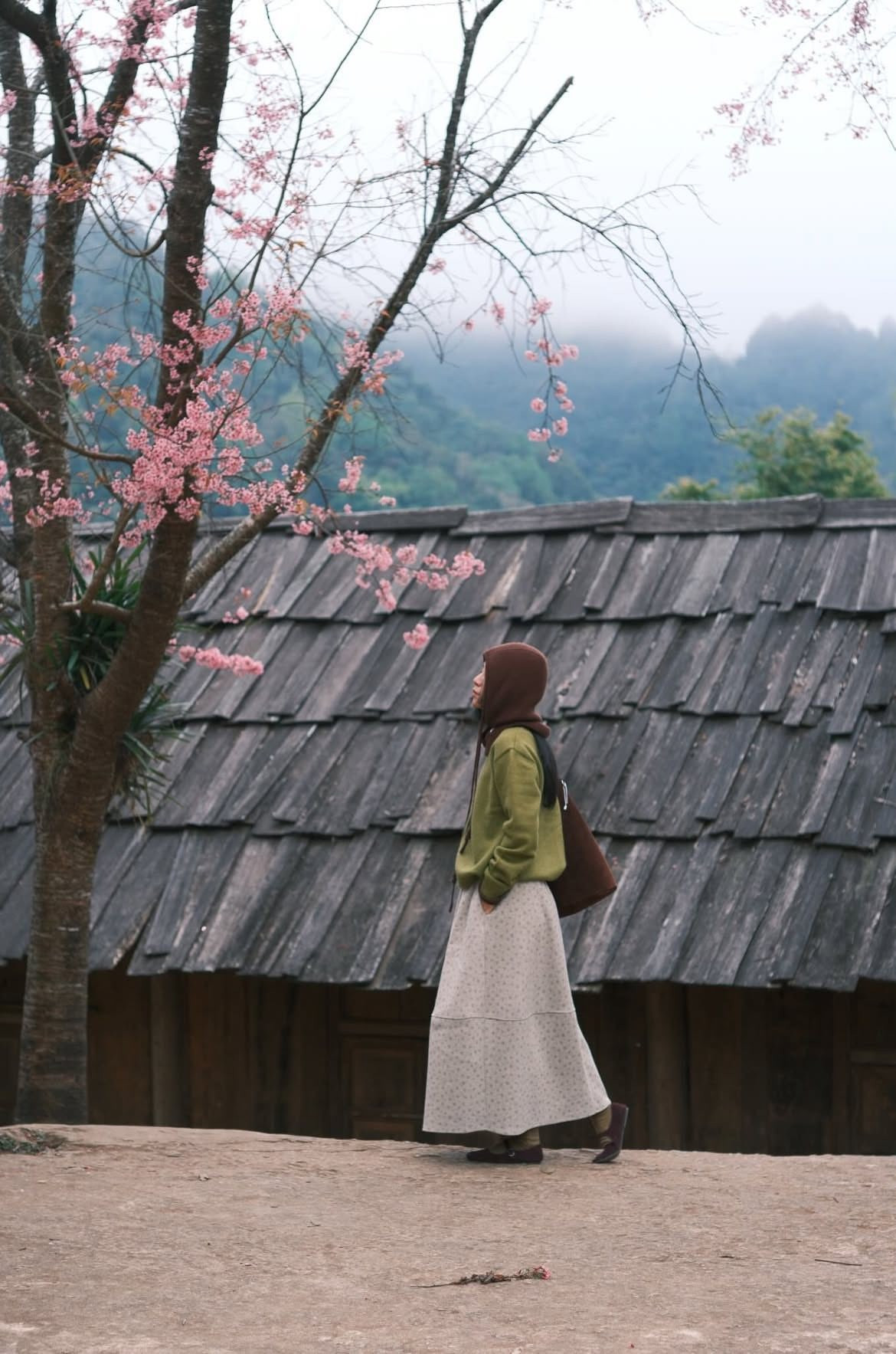 Không chỉ là mùa hoa, anh đào nở còn mang theo không khí Tết sớm đến với đồng bào nơi đây. Trong tiết Xuân se lạnh, bên chum rượu cần ấm nồng, người dân quây quần thưởng thức các món ăn truyền thống, tiếng khèn Mông vang lên réo rắt giữa núi rừng, hòa cùng hương hoa phảng phất trong gió. Ảnh haflee412