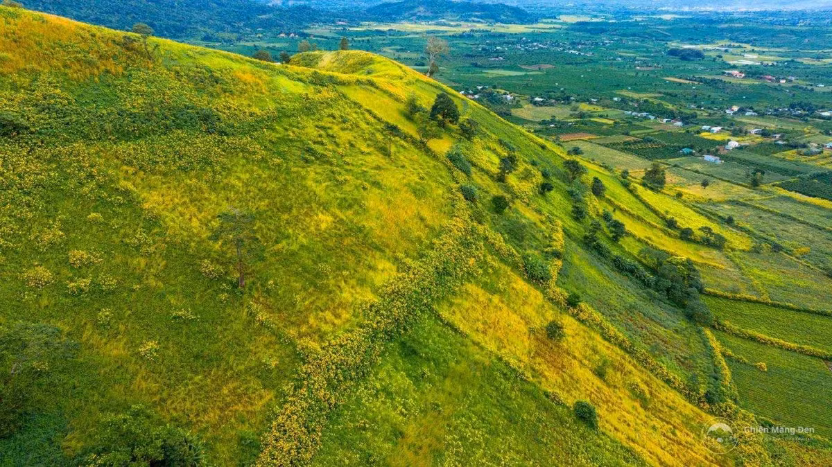 Từ trên cao nhìn xuống, thung lũng dưới chân núi hiện lên với những thửa ruộng xanh mướt, xen lẫn sắc vàng dã quỳ, tạo nên bức tranh thiên nhiên tuyệt đẹp, vừa hoang sơ vừa thơ mộng.