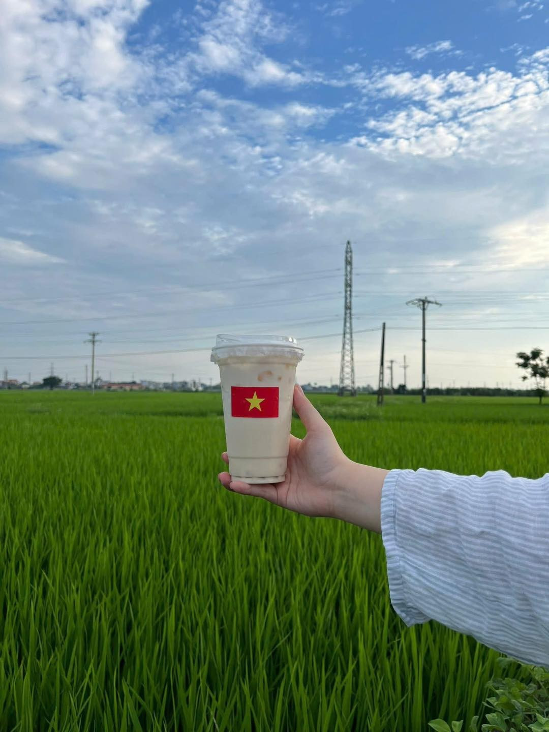 View - Khám Phá Quán Cà Phê Độc Đáo Giữa Đồng Xanh Thái Bình | Báo Tri thức và Cuộc sống - TIN TỨC PHỔ BIẾN KIẾN THỨC 24H