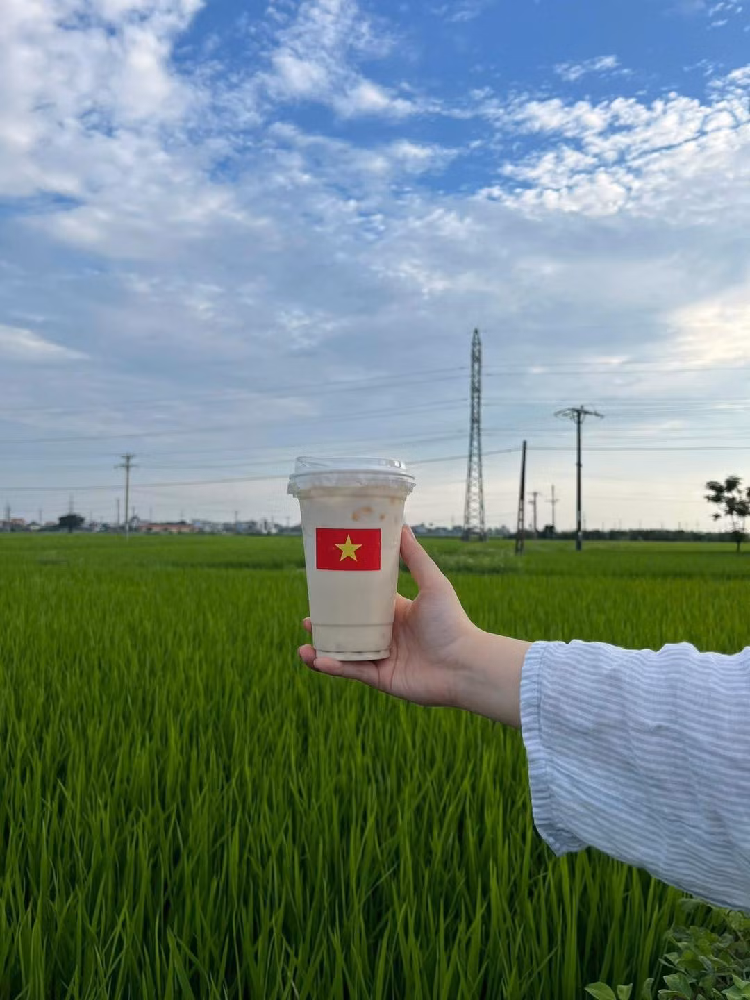 Ngoài ra, vấn đề an toàn và vệ sinh môi trường cũng là điều cần lưu ý nếu mô hình này tiếp tục phát triển. Ảnh MAP Cafe