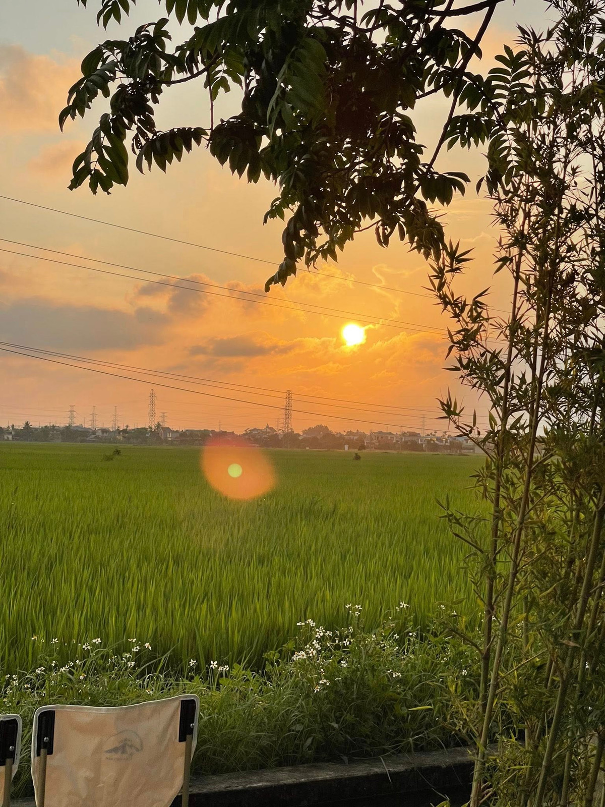 View - Khám Phá Quán Cà Phê Độc Đáo Giữa Đồng Xanh Thái Bình | Báo Tri thức và Cuộc sống - TIN TỨC PHỔ BIẾN KIẾN THỨC 24H