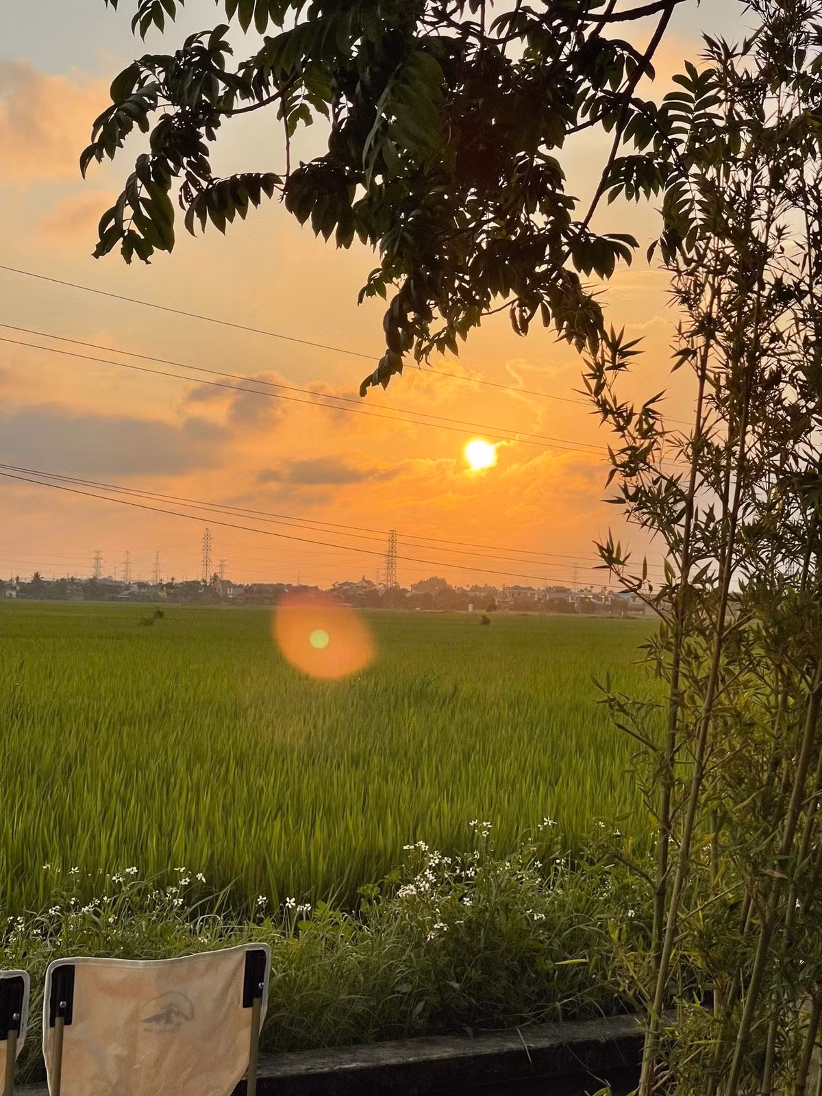 Không gian của quán phù hợp cho những buổi hẹn nhẹ nhàng, những buổi chiều lộng gió hay đơn giản là khoảng thời gian tạm ngắt kết nối với công nghệ. Những bức ảnh chụp tại đây cũng trở thành “góc sống ảo” mới mẻ với gam màu xanh của lúa và sắc trời nắng vàng, mang lại cảm giác yên bình khó tìm giữa phố thị. Ảnh MapCafe