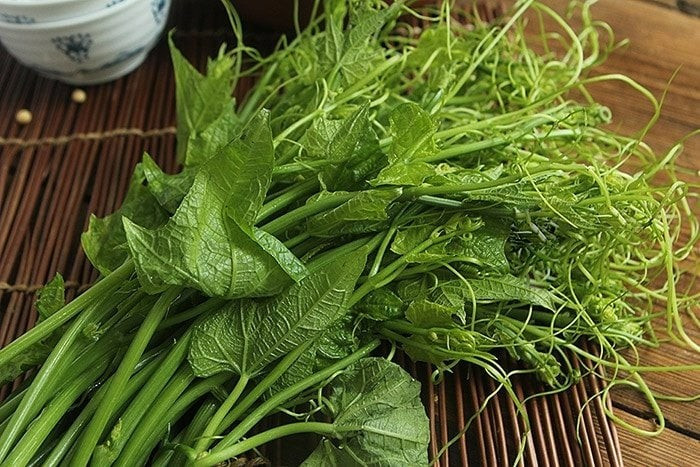 Theo Đông y, rau có tính mát, giúp thanh nhiệt, nhuận phổi, nhuận tràng. Ảnh minh họa