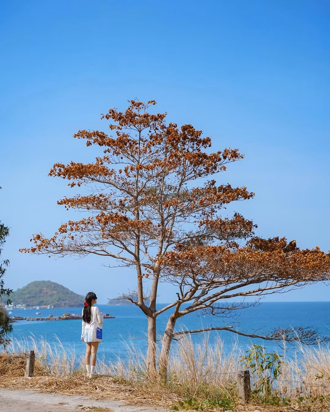 Các bãi nhỏ quanh Hòn Hai Bờ Đập hay Hòn Mấu mang đến cảm giác hoang sơ, yên bình, ít người. Du khách có thể thong dong tản bộ dọc bờ biển, ngắm bình minh hoặc hoàng hôn rực rỡ soi bóng trên mặt nước. Ảnh Phương Tali