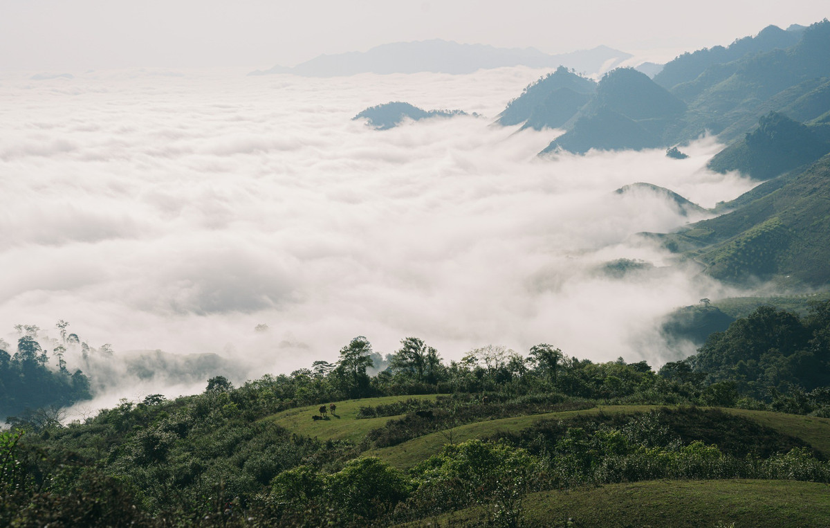 Với những ai yêu thích chụp ảnh, đây là cơ hội tuyệt vời để ghi lại những khoảnh khắc đẹp nhất của chuyến đi. Ảnh Kiên Mộc Châu