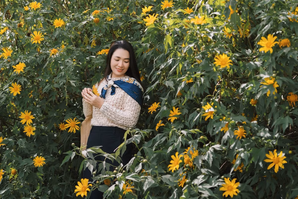 Gần trung tâm thành phố, khu vực Sân bay Cam Ly thu hút nhờ dã quỳ mọc thành khóm lớn, phủ lên các mảng tường rêu phong, tạo khung cảnh vintage. Ảnh Tín Đoàng