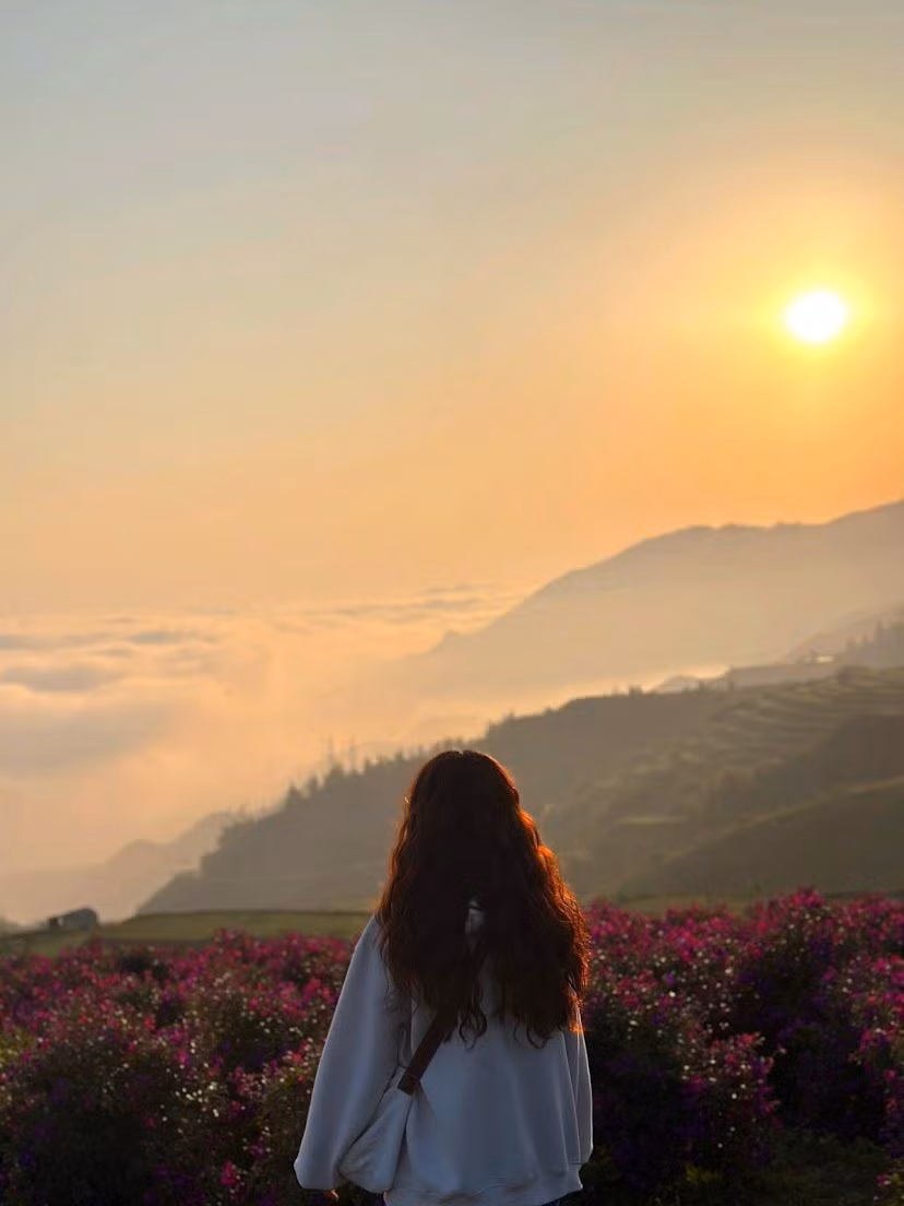 Vào mùa hoa sim, cả sườn đồi được phủ một màu tím dịu dàng, ngọt ngào – là background hoàn hảo cho mọi bức ảnh. Ảnh Internet