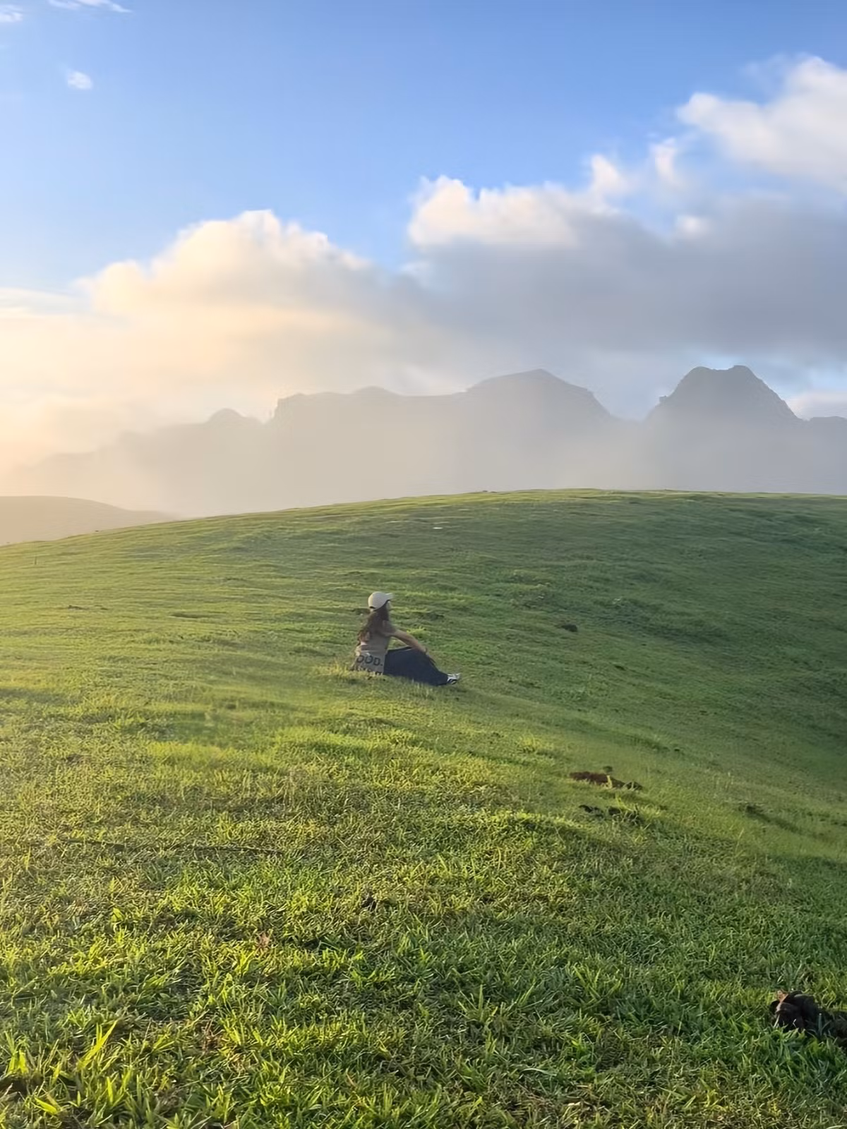 Tọa lạc tại bản Bon, xã Lóng Luông, huyện Vân Hồ (Sơn La), Đồi Sim – Suối Bon là điểm đến lý tưởng cho những ai đang tìm kiếm sự bình yên, không gian thoáng đãng và những khung cảnh đủ khiến trái tim rung động. Ảnh Luong Phuc