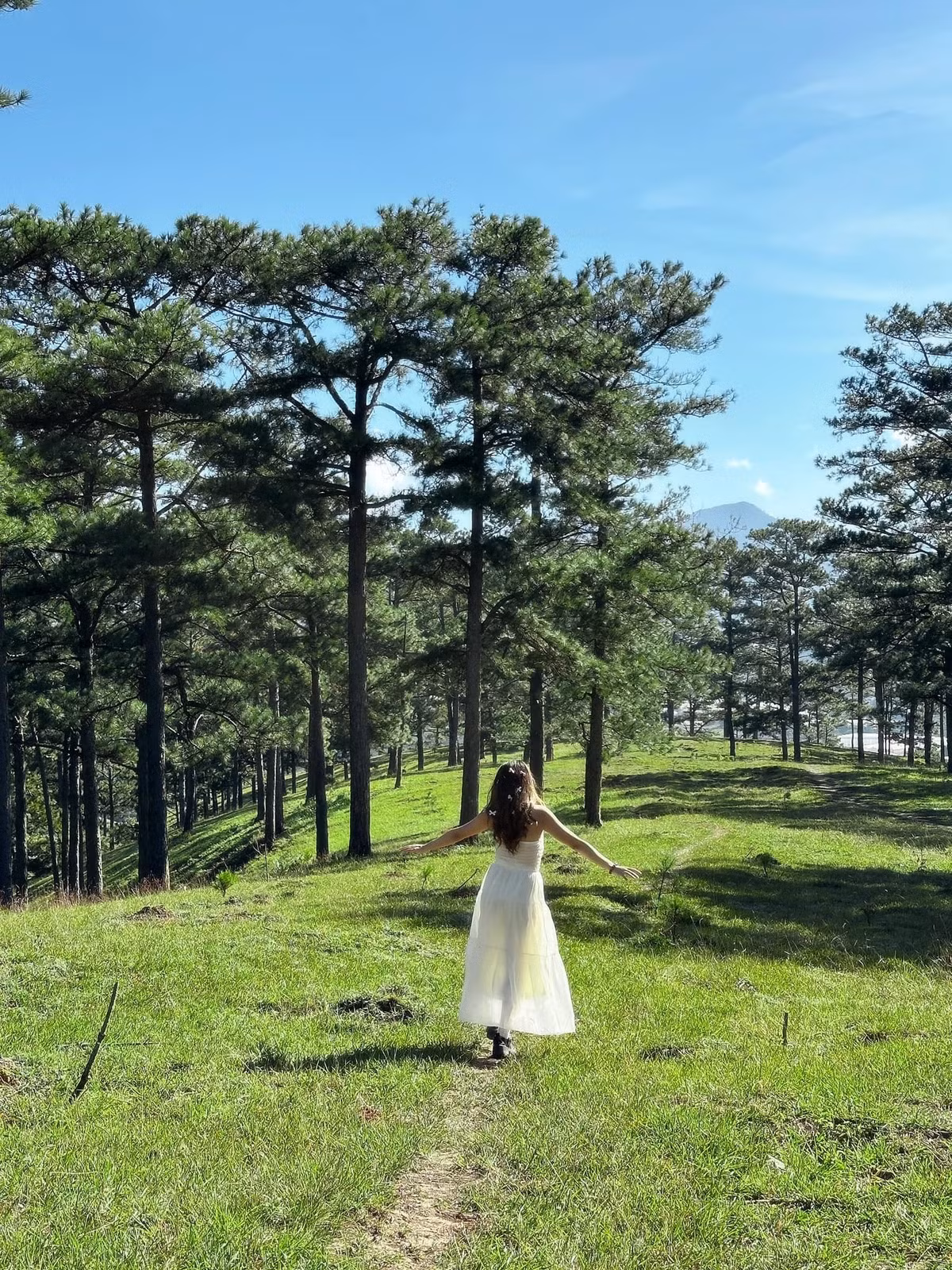 Khi sương sớm chưa tan, thung lũng phía dưới như chìm trong biển mây trắng xóa, từng đợt gió nhẹ đưa mây bay chậm rãi qua triền đồi. Ảnh Chang Chang.