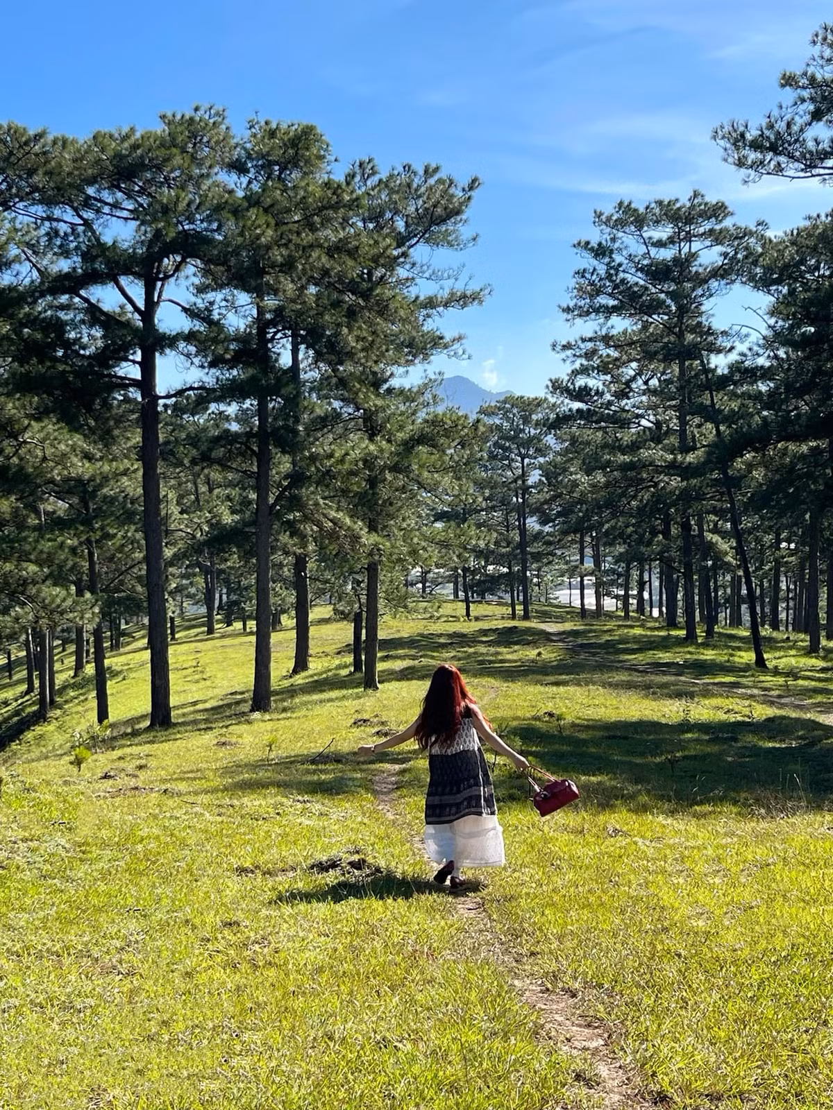 Thời điểm đẹp nhất để trải nghiệm đồi Măng Lin là từ 5h đến 7h sáng, khi mặt trời dần ló rạng, nhuộm sắc vàng lên biển mây bồng bềnh. Buổi chiều muộn, nơi đây cũng mang lại một khung cảnh lãng mạn khi hoàng hôn buông xuống qua tán rừng. Ảnh Uyển Vy