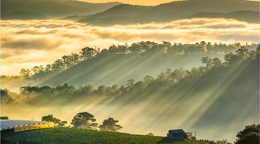 Nằm trên cung đường dẫn về làng hoa Măng Lin, ngọn đồi nhỏ này đã trở thành điểm hẹn lý tưởng cho những ai muốn ngắm bình minh và “săn” biển mây. Ảnh Gostay