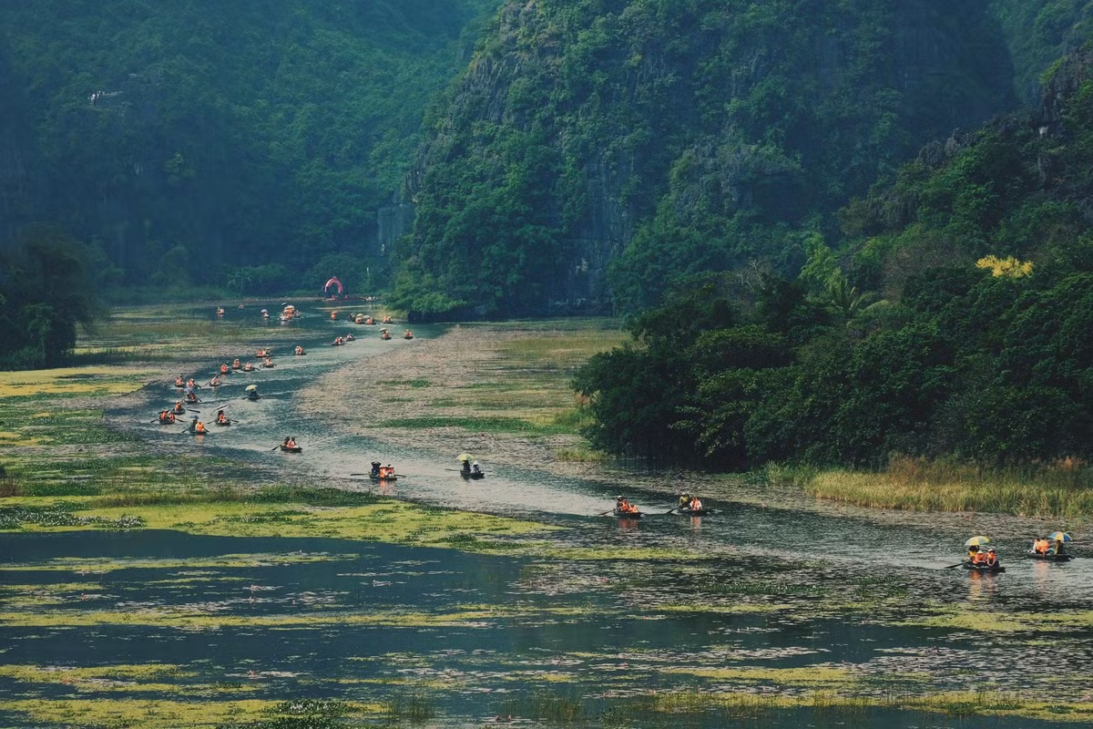 Dù đi sớm hay muộn, du khách đều có thể bắt gặp những cụm súng hồng nổi bật giữa dòng nước xanh. Tuy nhiên, hoa chỉ nở rộ vào buổi sáng và bắt đầu cụp lại sau 10 giờ, vì vậy chọn chuyến thuyền sớm là điều quan trọng nếu muốn có những bức ảnh ưng ý nhất.