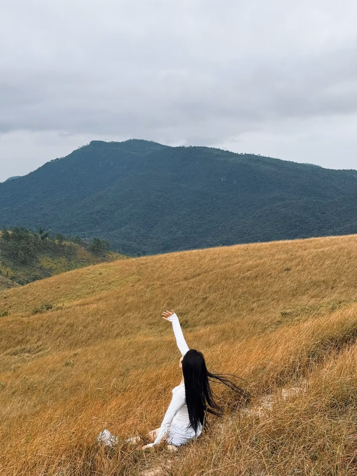 Mỗi góc đỉnh núi đều là bối cảnh hoàn hảo cho ảnh check-in, từ những đồi cỏ vàng trải dài, ánh hoàng hôn nhuộm đỏ, cho đến bầu trời trong xanh phủ ánh sáng sớm mai.Ảnh Diệu Hoa