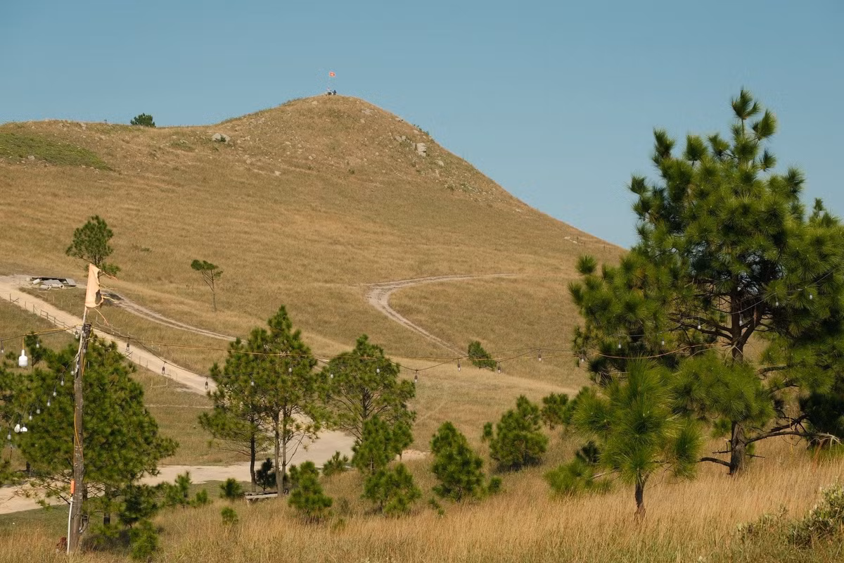 Ngoài mùa cỏ cháy, từ tháng 3–8, đỉnh Phượng Hoàng khoác lên mình thảm cỏ xanh mướt, tươi mới, rộng lớn. Không gian xanh ngát, trong lành thích hợp cho những ai muốn khám phá thiên nhiên, dạo bộ, chụp ảnh hay đơn giản là tận hưởng cảm giác yên bình hiếm có. Ảnh Long Lưu