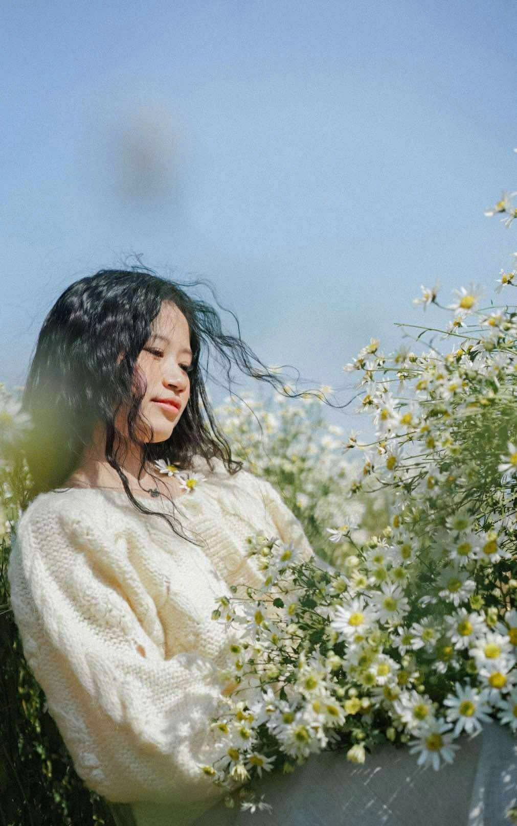 Do đó, bãi đá sông Hồng trở thành một trong những điểm đến không thể bỏ lỡ mỗi dịp đầu đông, nơi du khách có thể tạm quên đi ồn ào phố thị để tìm chút an yên bên sắc trắng của loài hoa báo mùa.Ảnh Bãi đá sông Hồng