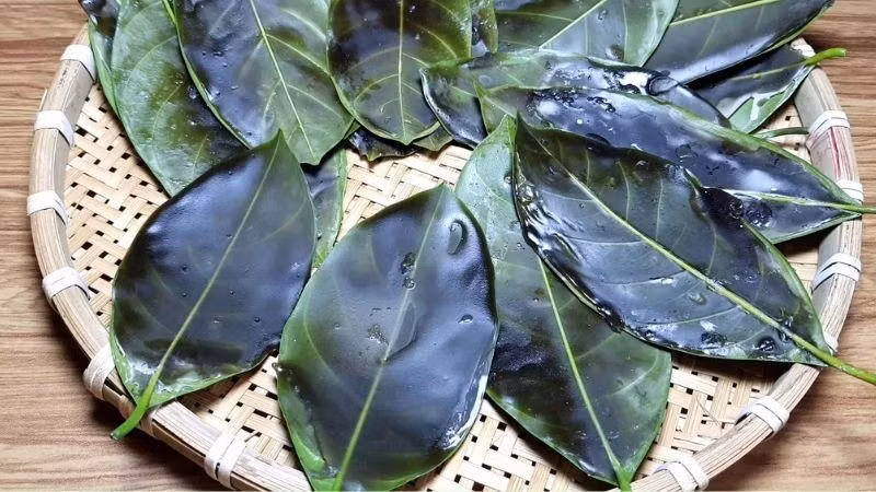 Dù tên gọi có phần “khó ngửi”, bánh thúi địch lại là minh chứng rõ nét cho sự sáng tạo trong ẩm thực dân gian. Nó không chỉ mang hương vị đặc trưng của miền Tây mà còn gói ghém cả nét văn hóa bình dị, thân thương nơi sông nước. Ảnh BHX