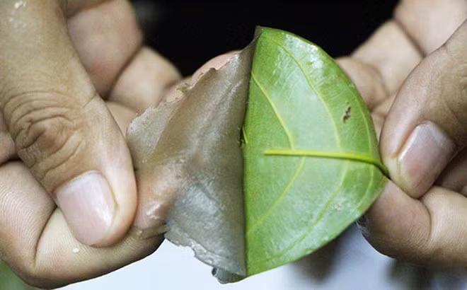 Điểm thú vị là bánh có màu vàng nâu óng ả từ đường thốt nốt, vừa bắt mắt vừa gợi cảm giác ấm áp. Ảnh Cooky