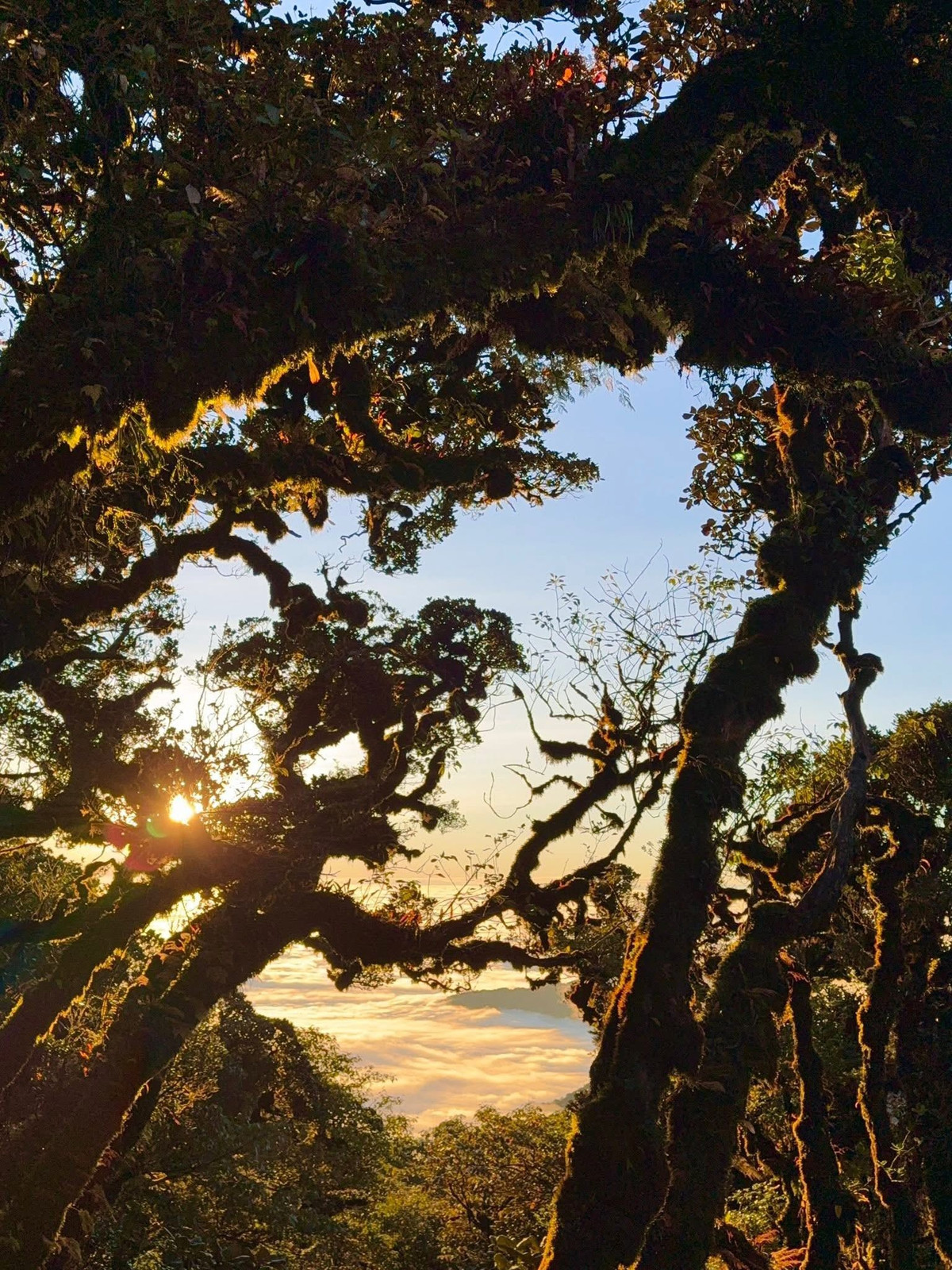 Với những người yêu thiên nhiên, mê chinh phục và muốn tìm về vẻ đẹp nguyên sơ của Tây Bắc, Phu Sa Phìn là hành trình xứng đáng để thử một lần trong đời – nơi mà phần thưởng không chỉ là khung cảnh hùng vĩ, mà còn là chính cảm xúc được sống trọn giữa đất trời. Ảnh Huyen Anh