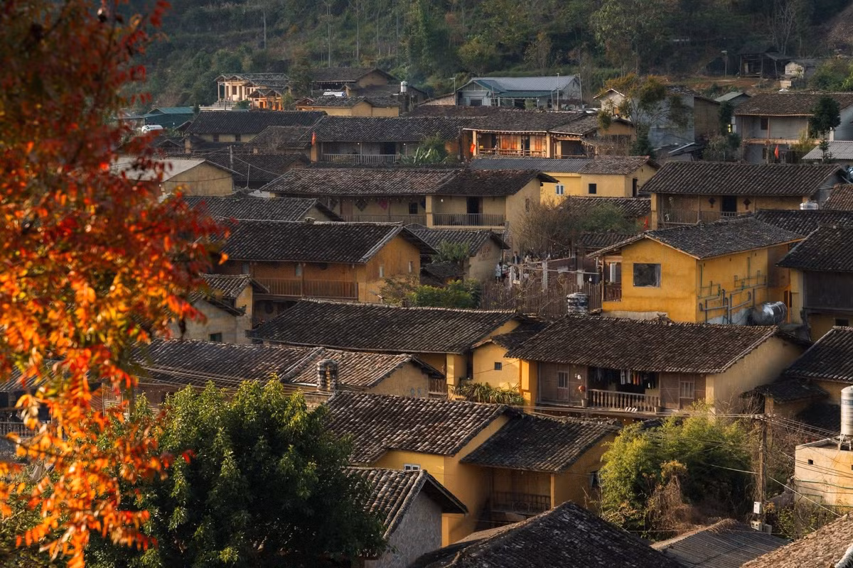 Không chỉ có cây hồng, Lô Lô Chải còn cuốn hút nhờ những ngôi nhà trình tường nguyên bản, tiếng chày giã bánh dày vang bên bếp lửa, sắc trang phục sặc sỡ của người Lô Lô và khung cảnh bình yên nơi chân cột cờ Lũng Cú. Giữa mùa du lịch cuối năm, làng nhỏ vùng biên không chỉ đẹp bởi thiên nhiên, mà còn bởi đời sống cộng đồng được gìn giữ mộc mạc, tự nhiên. Ảnh Linh Xinh