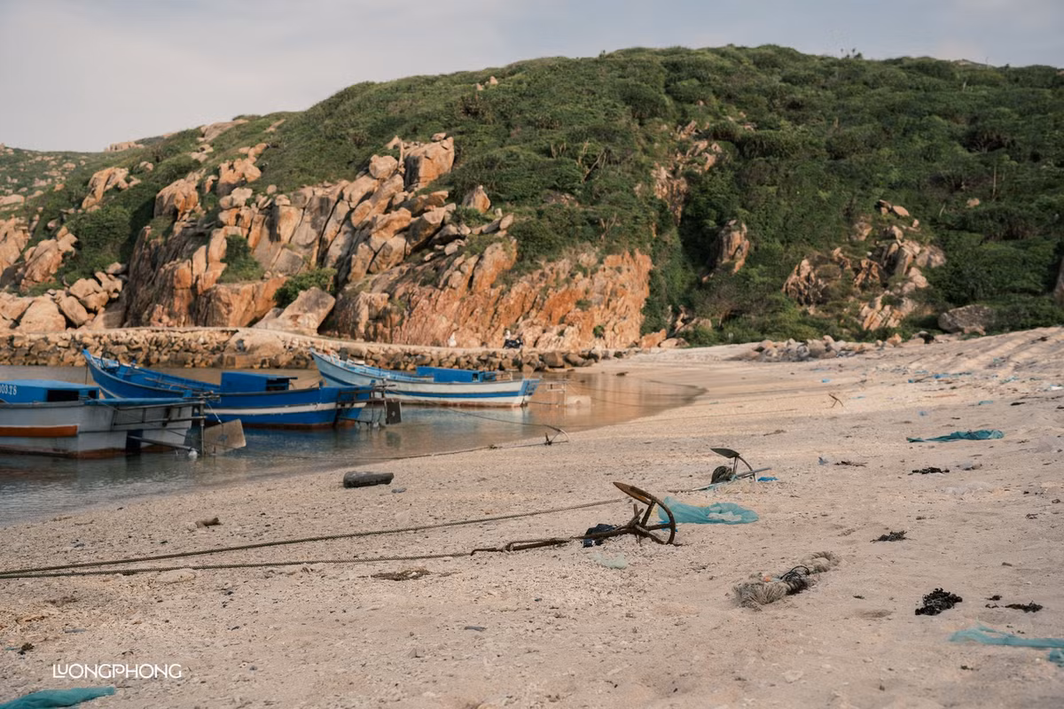 Một số bạn trẻ yêu thích trekking thường kết hợp chuyến đi Bãi Thùng với hành trình khám phá cung đường Tứ Bình (Bình Tiên – Bình Hưng – Bình Lập – Bình Ba) hoặc ghé qua Vườn quốc gia Núi Chúa – nơi vừa được UNESCO công nhận là Khu dự trữ sinh quyển thế giới. Các công ty lữ hành như PYS Travel, Saigon Adventure, Viettrekking hiện đang có tour khám phá Bãi Thùng kết hợp trekking Núi Chúa, cắm trại qua đêm, dành cho nhóm nhỏ hoặc các chuyến dã ngoại theo nhóm bạn, công ty. Ảnh Lương Phong