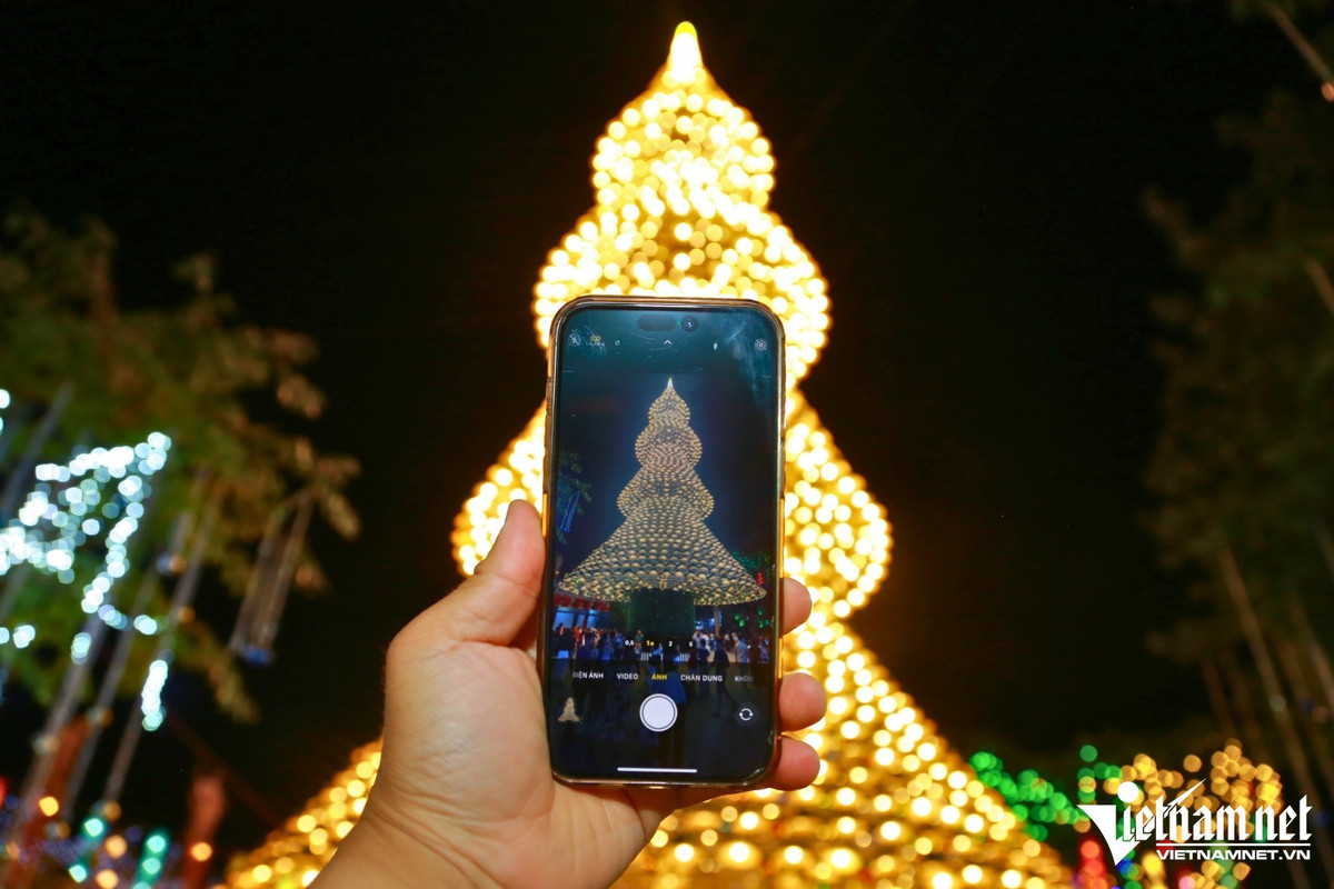 Mỗi năm, cây thông nón lá như một lời hẹn, mời gọi du khách trở lại để cảm nhận mùa Giáng sinh đặc sắc tại Đồng Nai. Ảnh Báo Vietnamnet