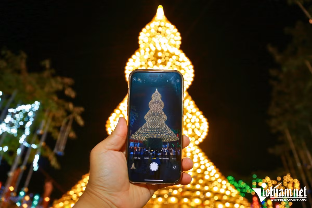 Mỗi năm, cây thông nón lá như một lời hẹn, mời gọi du khách trở lại để cảm nhận mùa Giáng sinh đặc sắc tại Đồng Nai. Ảnh Báo Vietnamnet