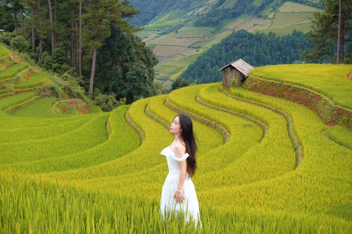 Du khách ghé thăm đồi Móng Ngựa còn có cơ hội trải nghiệm văn hóa người Thái, chiêm ngưỡng những bản làng nhỏ, phụ nữ dân tộc trong trang phục sặc sỡ, cùng thưởng thức các đặc sản núi rừng như xôi nếp nương, cốm Tú Lệ hay cá suối nướng. Ảnh Tran Thuy