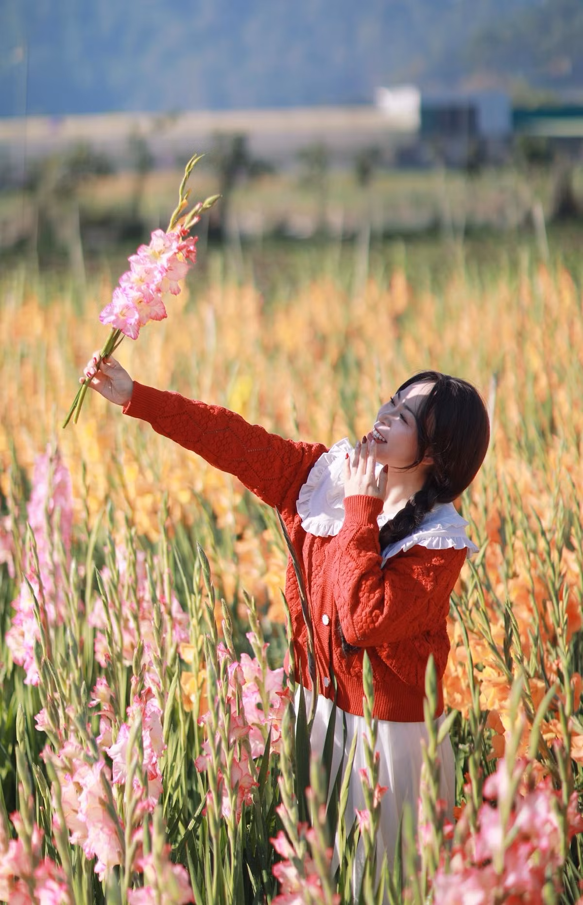 Buổi sáng là thời điểm lý tưởng nhất khi nắng dịu, trời trong và hoa còn tươi, ánh sáng xiên nhẹ giúp màu ảnh lên trong trẻo. Chiều muộn cũng là khoảng thời gian được nhiều người yêu thích bởi sắc vàng của nắng hoàng hôn hòa cùng sắc hoa tạo nên không gian thơ mộng.